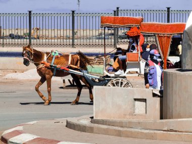 Fas 'ta turistik atların çektiği kaleciler hareket halinde.