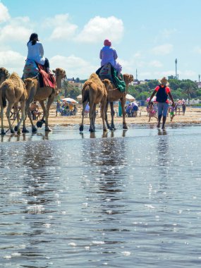 Çok az insan yaz tatillerinde deve sürüşünden zevk alır.