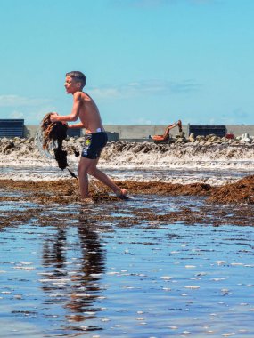 Genç bir çocuk Fas sahilinde yosun bitkilerini havaya atıyor.