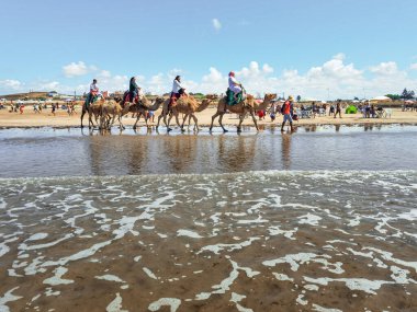 Çok az insan yaz tatillerinde deve sürüşünden zevk alır.