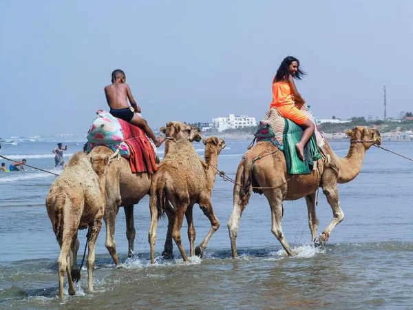 Çok az insan yaz tatillerinde deve sürüşünden zevk alır.