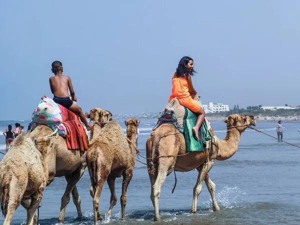 Çok az insan yaz tatillerinde deve sürüşünden zevk alır.