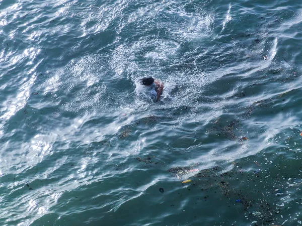 Genç adam okyanusta tek başına yüzüyor.