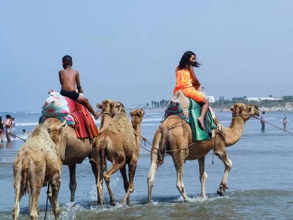Çok az insan yaz tatillerinde deve sürüşünden zevk alır.