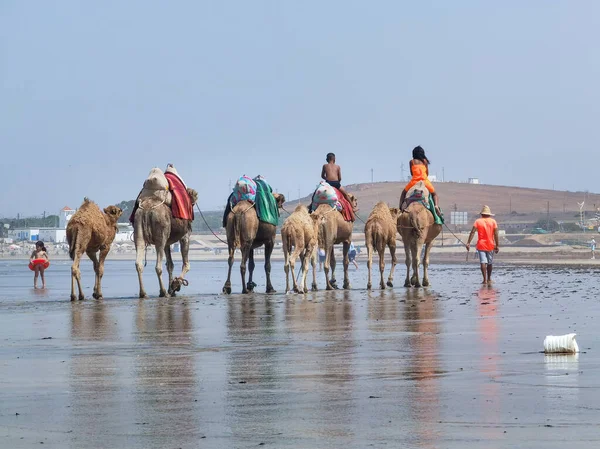 Çok az insan yaz tatillerinde deve sürüşünden zevk alır.