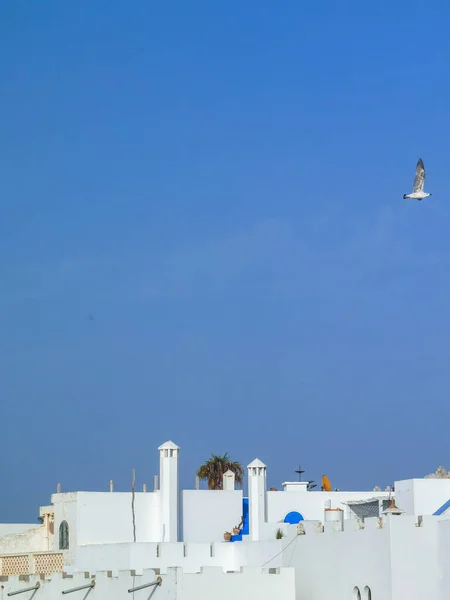Vista Aérea Sobre Antigua Medina Asilah Marruecos — Foto de Stock