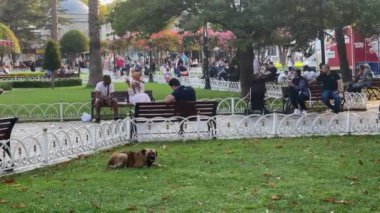İstanbul 'da halk bahçesinde takılan bir sürü insan var.
