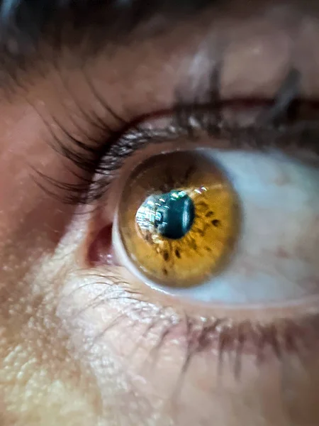 Λαμπερό Καστανό Αρσενικό Μάτι Καθαρό Δέρμα Καυκάσου — Φωτογραφία Αρχείου