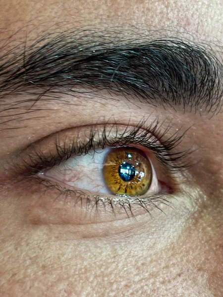 Glowing Brown Male Eye Clean Caucasian Skin — Stock Photo, Image