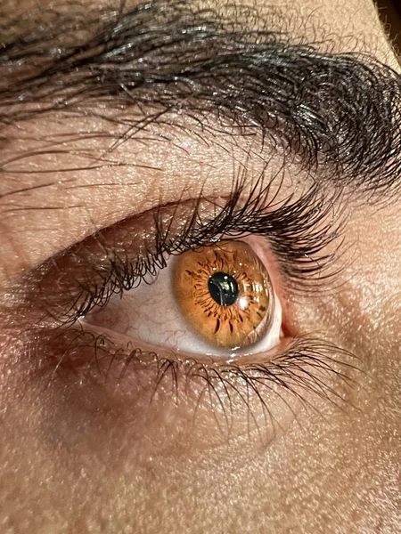 Glowing Brown Male Eye Clean Caucasian Skin — Stock Photo, Image