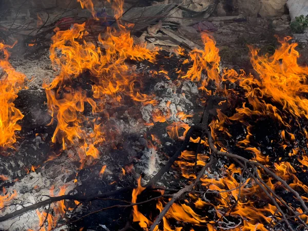 Giftiges Feuer Verbrennt Müll Freien — Stockfoto