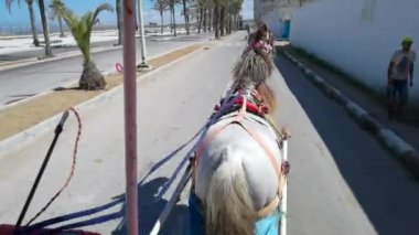 At arabasıyla yola çıktı.