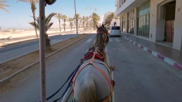 Cavalo Empurrando Uma Carroça Estrada — Vídeo de Stock