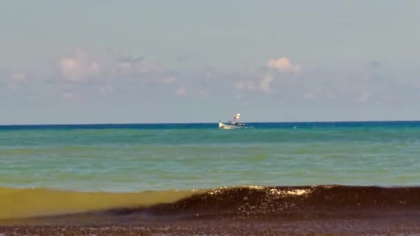 Barca Pesca Vela Nell Oceano Atlantico Con Sacco Piante Alghe — Video Stock