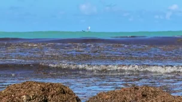 多くの海藻植物と大西洋を航海する漁船 — ストック動画