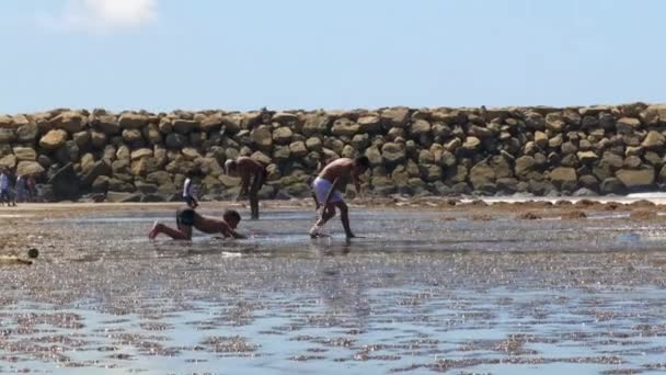 在摩洛哥海滩的海岸线上玩耍的小男孩 — 图库视频影像