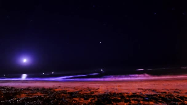 Beach Shot Night Sky Timelapse — Stock video
