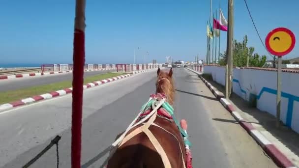 Cavalo Empurrando Caleche Assilah — Vídeo de Stock