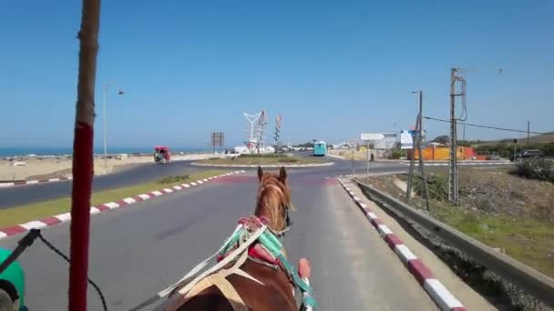 Cavalo Empurrando Caleche Assilah — Vídeo de Stock