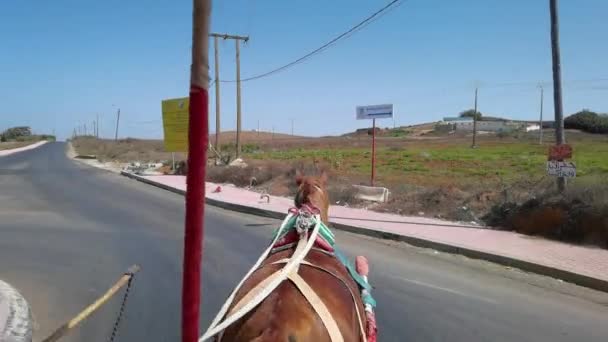 Cavallo Spingendo Caleche Assilah — Video Stock