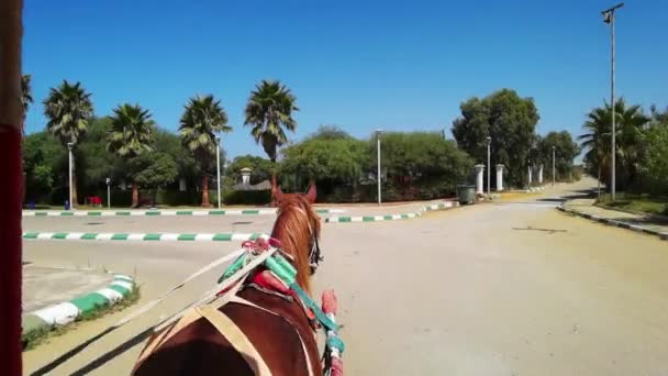 Cavalo Empurrando Caleche Assilah — Vídeo de Stock