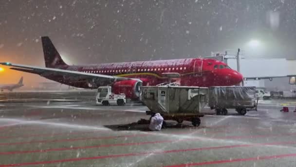 Brüsseler Flugzeug Parkt Während Einer Verschneiten Nacht Auf Dem Flughafen — Stockvideo
