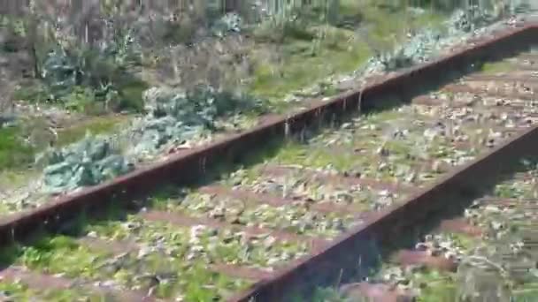 Bewegtbild Eines Fahrenden Zuges Über Die Bahngleise — Stockvideo
