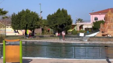 Kamu parkında uçan siyah kaz