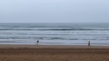 Kumsalda birlikte yürüyen iki adam.