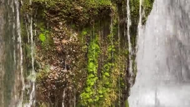 Gros Plan Une Cascade Dans Forêt — Video