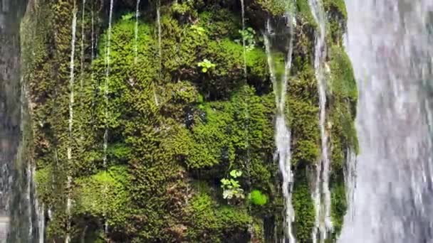 Wasserfall Wald Mit Moosbewachsenen Felsen — Stockvideo