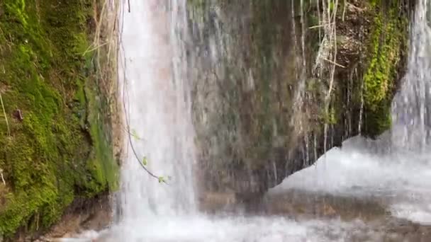 Close Tiro Uma Cachoeira Floresta — Vídeo de Stock