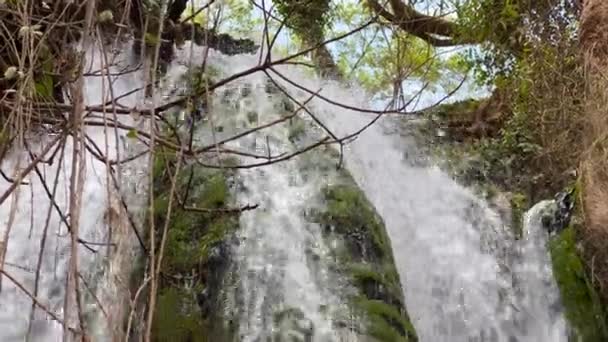 Hermosa Cascada Bosque — Vídeo de stock