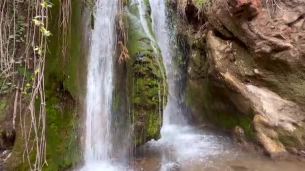 Hermosa Cascada Bosque — Vídeo de stock