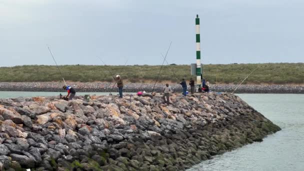 Kelompok Nelayan Memancing Pelabuhan Mahdia — Stok Video