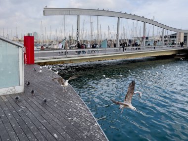 Barcelona 'daki Rambla de mar limanı