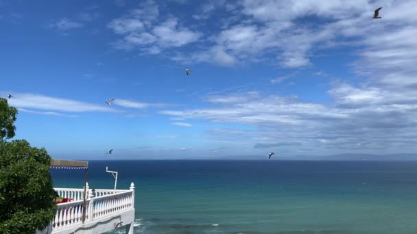 Vista Panorâmica Sobre Mar Mediterrâneo Partir Café Hafa — Vídeo de Stock