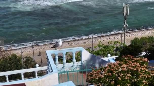 Vista Panorâmica Sobre Mar Mediterrâneo Partir Café Hafa — Vídeo de Stock