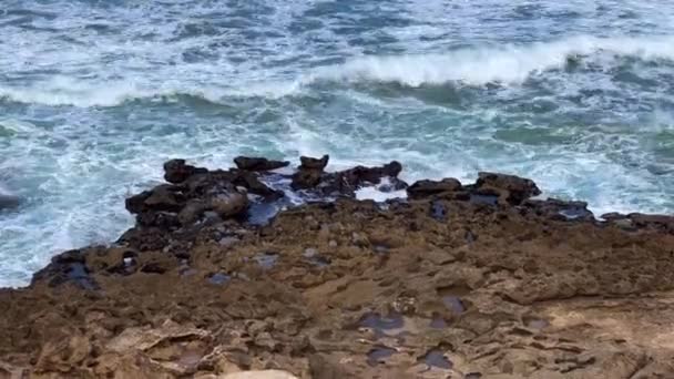 Ocean Waves Crashing Coastal Rocks Morocco — Stock Video