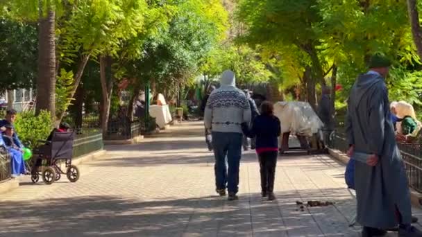 Lokale Mensen Wandelen Een Openbaar Park Marokko — Stockvideo