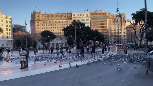 Turistas Que Visitam Praça Catalunha Lotados Pombos Barcelona — Vídeo de Stock