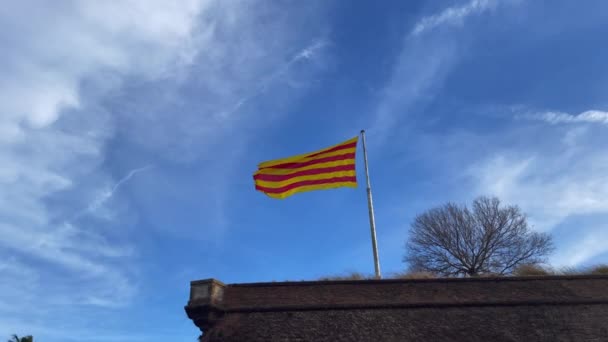 Bandera Catalana Ondeando Con Cielo Azul Fondo — Vídeos de Stock