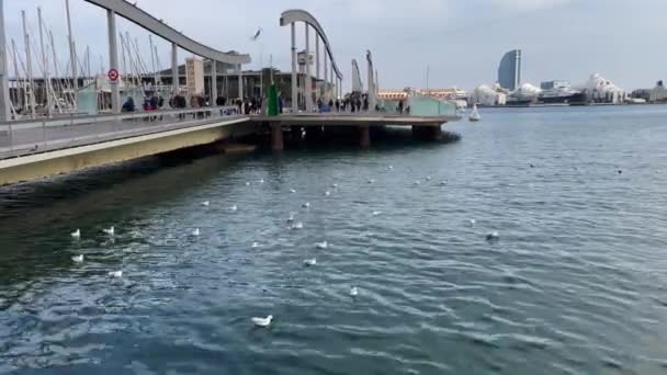 Rambla Mar Hamn Barcelona — Stockvideo