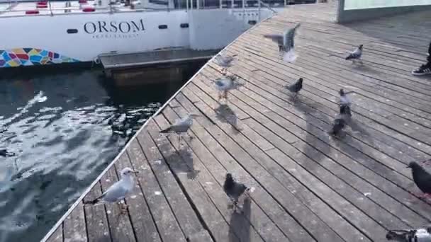 Λιμάνι Rambla Mar Στη Βαρκελώνη — Αρχείο Βίντεο