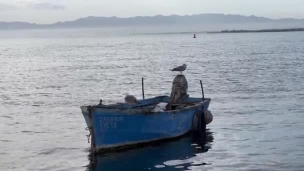 Zeemeeuw Vogels Staan Een Kleine Vissersboot Een Haven — Stockvideo