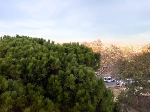 バルセロナの森の上のドローンビュー — ストック写真