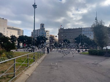 Katalonya meydanını ziyaret eden turistler Barselona 'da güvercinlerle dolular.