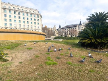 Barselona 'da bir halk bahçesinde güzel dairesel çeşme