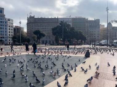 Katalonya meydanını ziyaret eden turistler Barselona 'da güvercinlerle dolular.