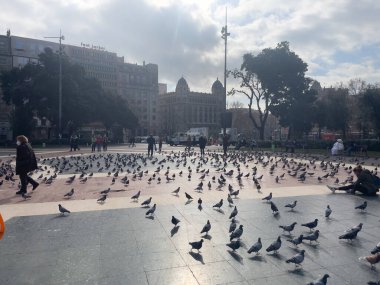 Katalonya meydanını ziyaret eden turistler Barselona 'da güvercinlerle dolular.
